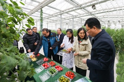 省農業農村廳副廳長曹麗虹一行調研我院溧水基地設施農業和智慧農業場景建設