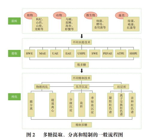 多糖的精制及環磷酰胺減毒增效機制研究進展