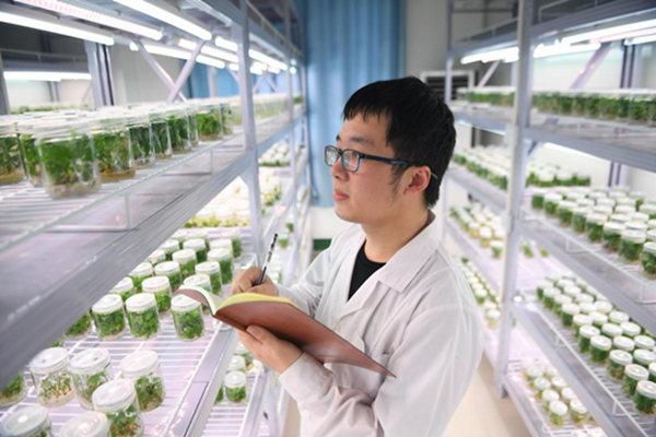 鏡頭丨勞動讓生活更美好 農業科學研究的詩意與遠方